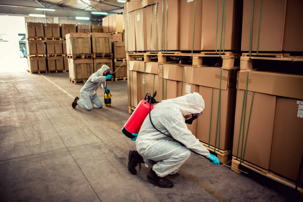 Wasp Removal Services in Ellicott City, MD