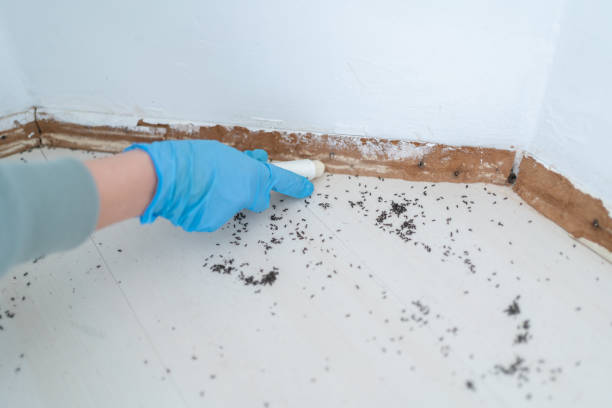 Best Bed Bug Extermination  in Ellicott City, MD